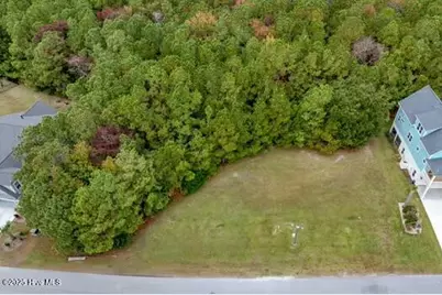 155 Everett Park Trail, Holly Ridge, NC 28445 - Photo 43