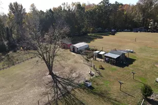 397 Spivey Rd, Hobbsville, NC 27946 - Photo 15