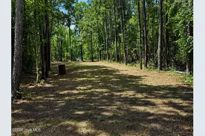 408 Tarpon Pointe Road, Bath, NC 27808 - Photo 7