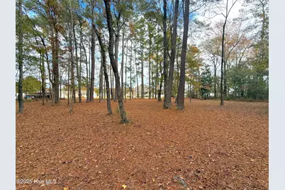 349 Barwick Drive, Washington, NC 27889 - Photo 63