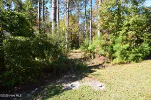 1005 Alabaster Dr, New Bern, NC 28562 - Photo 1
