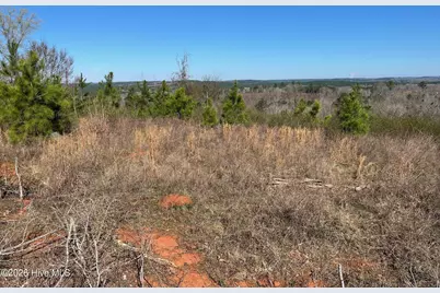 355.7 Horseshoe Road, Rockingham, NC 28379 - Photo 5