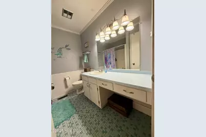 1247 Scenic Drive, Williamston, NC 27892 - Photo 59