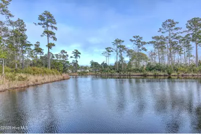 351 Landon Lane, Sneads Ferry, NC 28460 - Photo 13