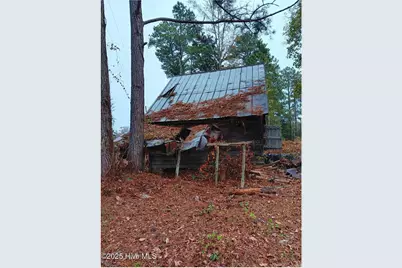 1890 Oneal Road, Whitakers, NC 27891 - Photo 43