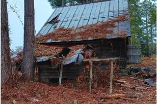 1890 O Neal Rd, Whitakers, NC 27891 - Photo 43