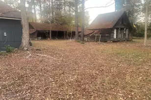 1890 O Neal Rd, Whitakers, NC 27891 - Photo 53