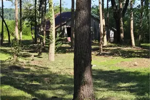 1890 O Neal Rd, Whitakers, NC 27891 - Photo 37