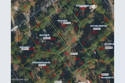 645 N Page Street, Southern Pines, NC 28387 - Photo 49