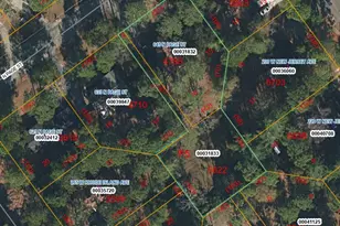 645 N Page St, Southern Pines, NC 28387 - Photo 49