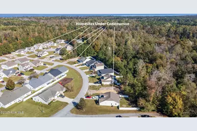 445 Peregrine Ridge Drive, New Bern, NC 28560 - Photo 21