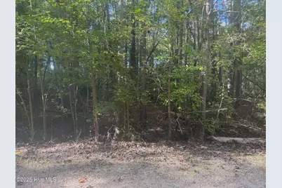 Lot 51 A Palomino Road, Carthage, NC 28327 - Photo 3