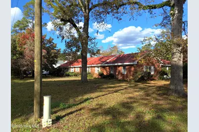 33 Gapway Road, Fair Bluff, NC 28439 - Photo 3