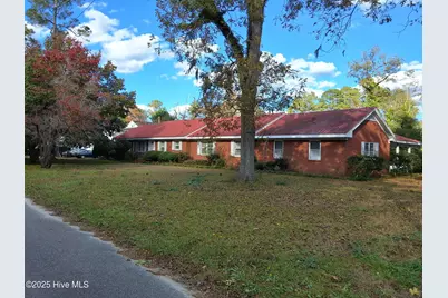 33 Gapway Road, Fair Bluff, NC 28439 - Photo 1
