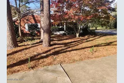33 Gapway Road, Fair Bluff, NC 28439 - Photo 103