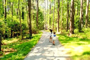 128 W Burton Farm Dr, Minnesott Beach, NC 28510 - Photo 45