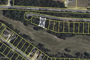 506 Bald Eagle Dr, Vass, NC 28394 - Photo 5