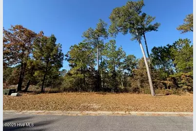 3777 River Park Way NE, Leland, NC 28451 - Photo 1