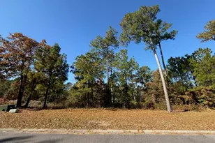 3864 River Pk Wy NE, Leland, NC 28451 - Photo 1