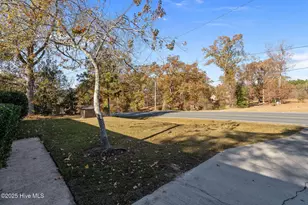 331 Nicholson Rd, Rockingham, NC 28379 - Photo 55