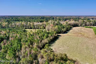 0 Near 4294 James B Wh, Whiteville, NC 28472 - Photo 17