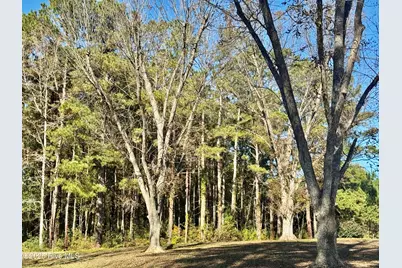 0 Near 4294 James B Wh, Whiteville, NC 28472 - Photo 13