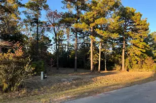 625 Vandemere Creek Dr, Vandemere, NC 28587 - Photo 1