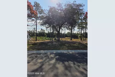 7501 Wallace Place SW, Sunset Beach, NC 28468 - Photo 1