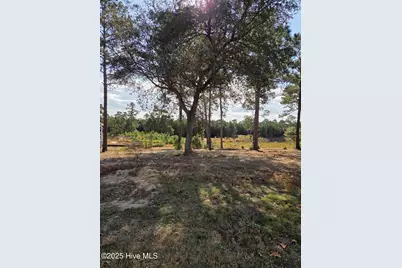 7501 Wallace Place SW, Sunset Beach, NC 28468 - Photo 5