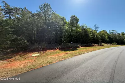 176 Lakeview Pass, Rockingham, NC 28379 - Photo 5