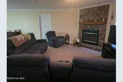 394 Bullard Pit Circle, Autryville, NC 28318 - Photo 5