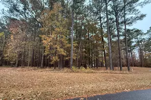 13 Mattaponi Dr, Hertford, NC 27944 - Photo 1