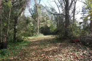 7682 Kershaw Rd, Arapahoe, NC 28510 - Photo 45