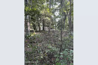 Tbd Country Canyon Drive, Cordova, NC 28330 - Photo 5