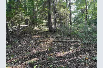 Tbd Country Canyon Drive, Cordova, NC 28330 - Photo 7