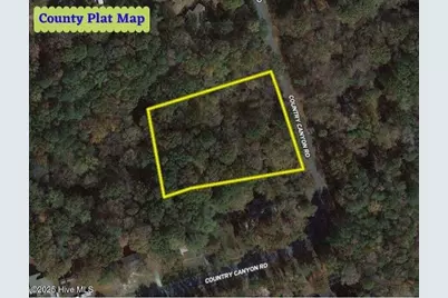 Tbd Country Canyon Drive, Cordova, NC 28330 - Photo 9