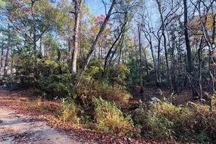 1574 Hollywood St SW, Shallotte, NC 28470 - Photo 1