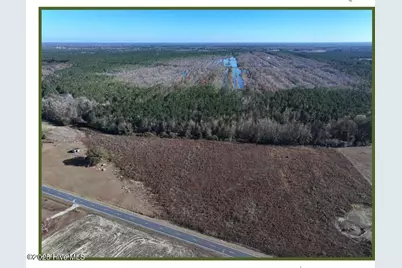 Lot 3 Wire Grass Road, Orrum, NC 28369 - Photo 1