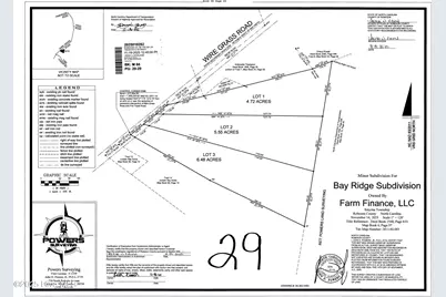 Lot 3 Wire Grass Road, Orrum, NC 28369 - Photo 5