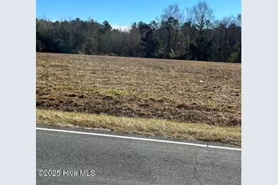 Lot 3 Wire Grass Road, Orrum, NC 28369 - Photo 7