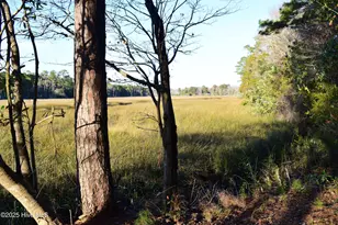 2475 Cross Ln SW, Supply, NC 28462 - Photo 51