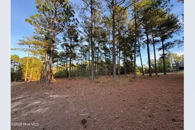 1 Kenwood Court, Pinehurst, NC 28374 - Photo 37