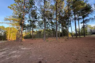 1 Kenwood Ct, Pinehurst, NC 28374 - Photo 37