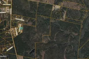 170 Pinelands Vista, Jackson Springs, NC 27281 - Photo 57