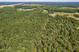 6515 Tonya Rd, Elm City, NC 27822 - Photo 45