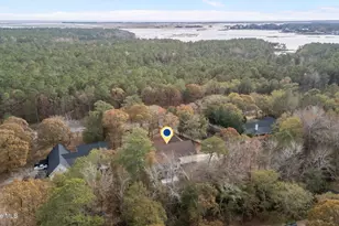 100 White Swan Way, Swansboro, NC 28584 - Photo 53