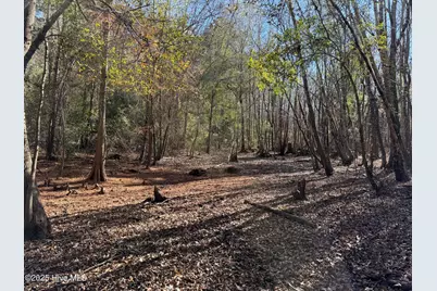 0 Macedonia Church Road, Evergreen, NC 28438 - Photo 31