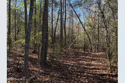 0 Macedonia Church Road, Evergreen, NC 28438 - Photo 23
