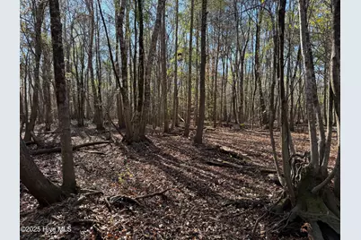 0 Macedonia Church Road, Evergreen, NC 28438 - Photo 29