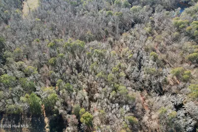 0 Macedonia Church Road, Evergreen, NC 28438 - Photo 3